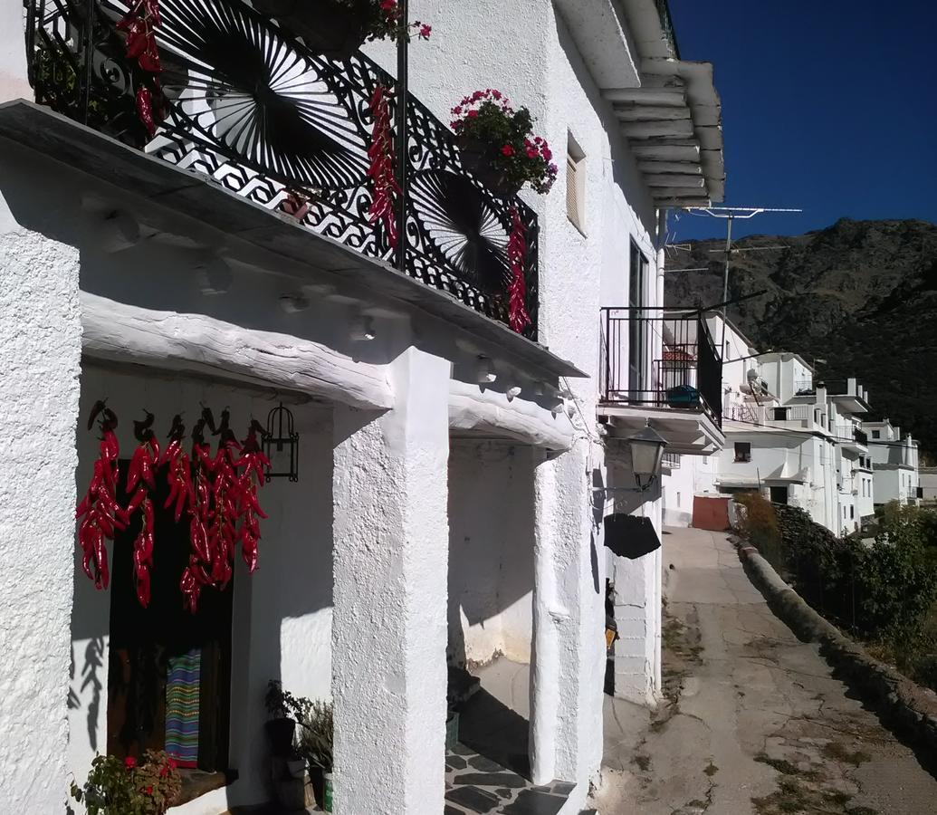Refugio Alpujarra Alta Bed and Breakfast Trevélez Eksteriør billede